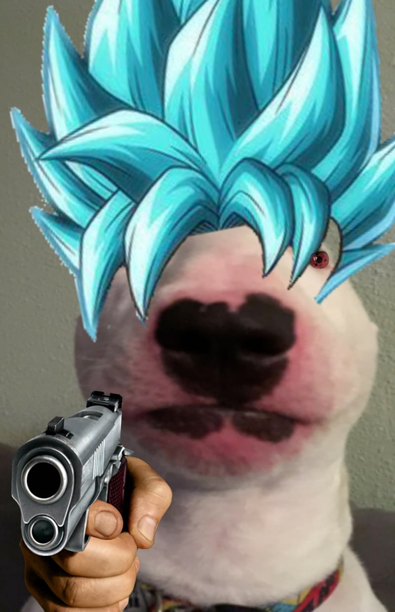 Gun