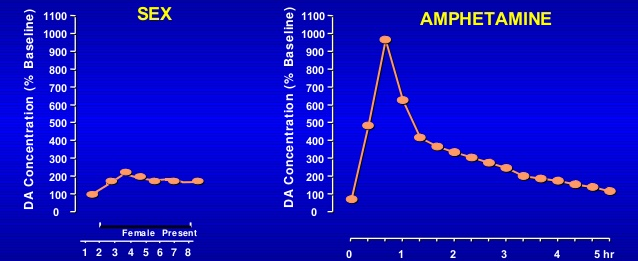 Amph