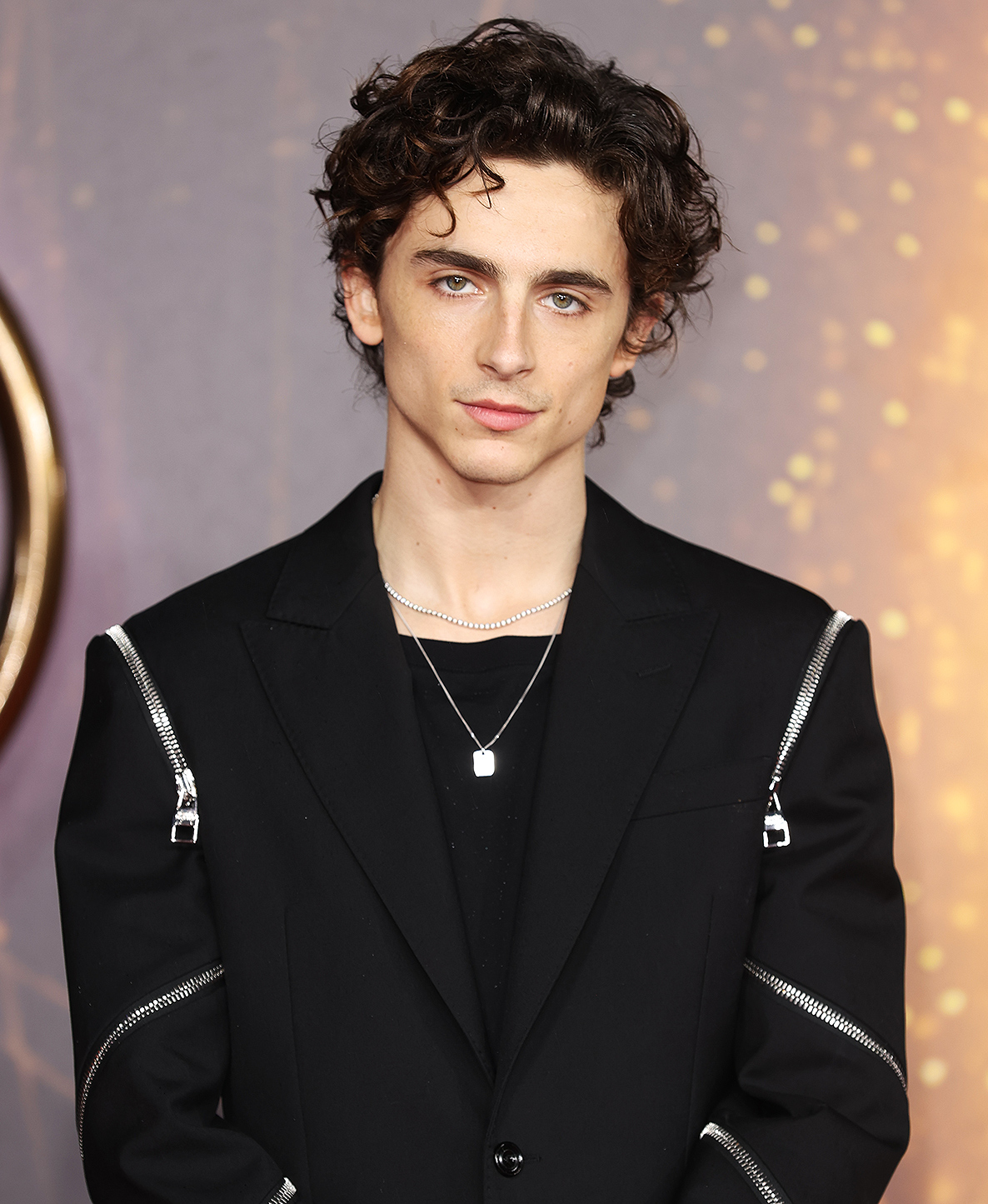 Timothee chalamet 3