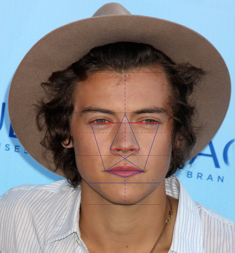 Dr Julian de Silva Harry Styles portrait v3 1