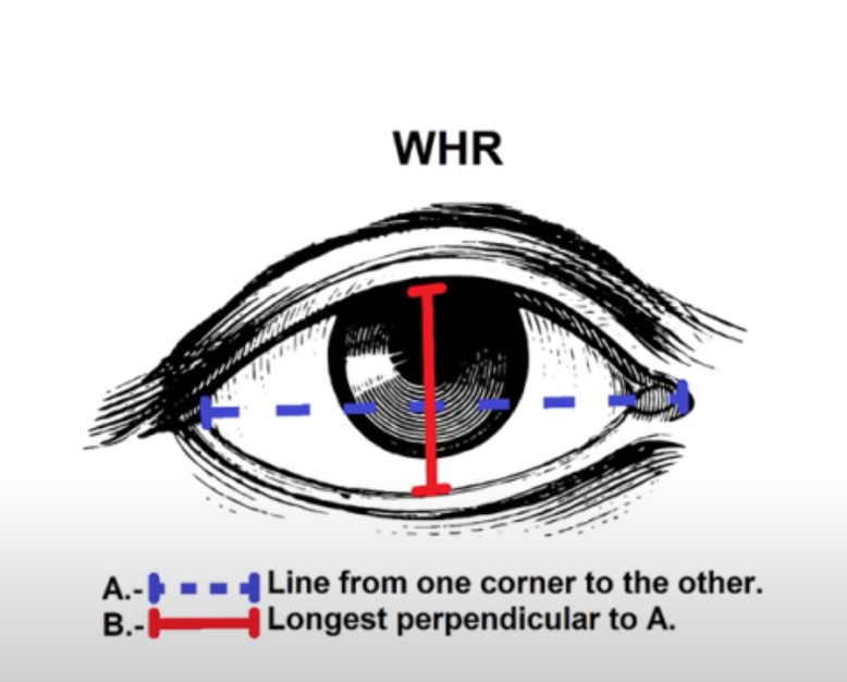 Eye WHR