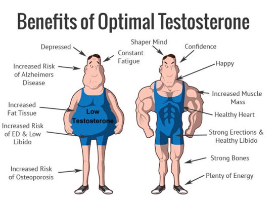 Testlevels11