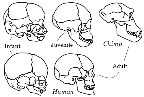 2F609937 9A2F 434B 9DF9 0C7186F5D6FC