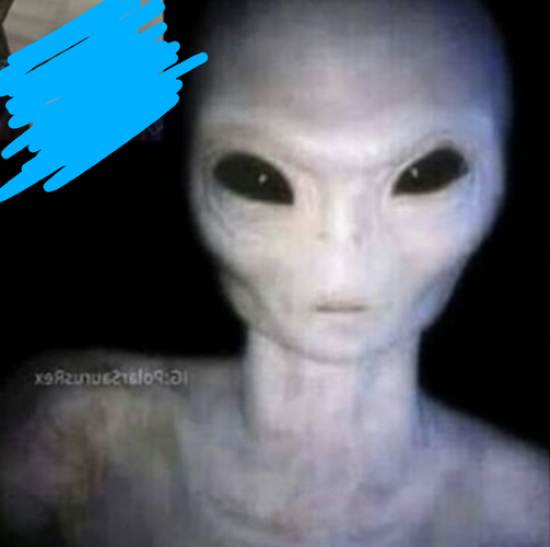 Screenshot_20220505-202416.png