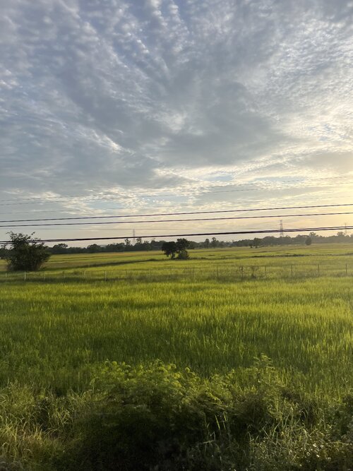 FCACDB8C-5F3C-4F1F-84DE-D30BA7D62A35.jpeg
