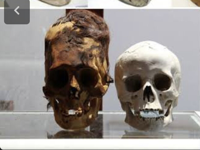 BAD8CBFA 1E54 46FB 828A 1936412751FE