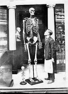 51762262 6E2C 4229 8BF0 5FD657E69B79