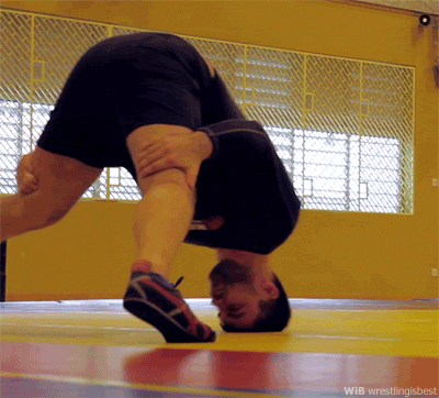 tumblr_mztjugV9pj1qbrivdo1_400.gif