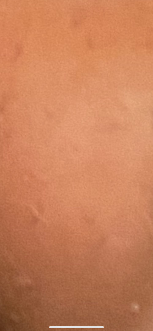 E33B346F-070A-4433-9205-59A8C96D0CFD.png