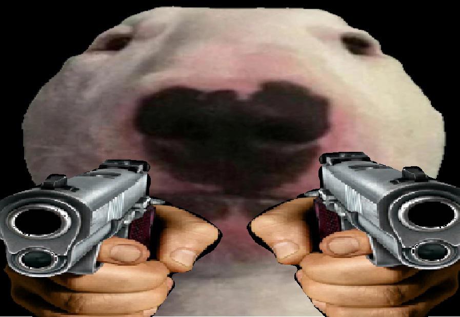 Guns
