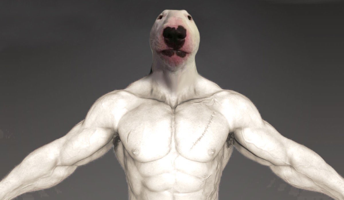 EdkqJV6XYAA8FBc
