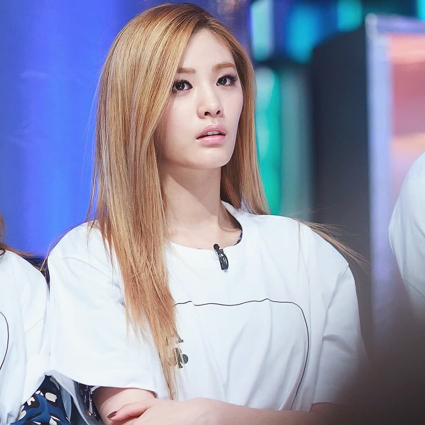 26228549 210630746166470 362194991503638528 n