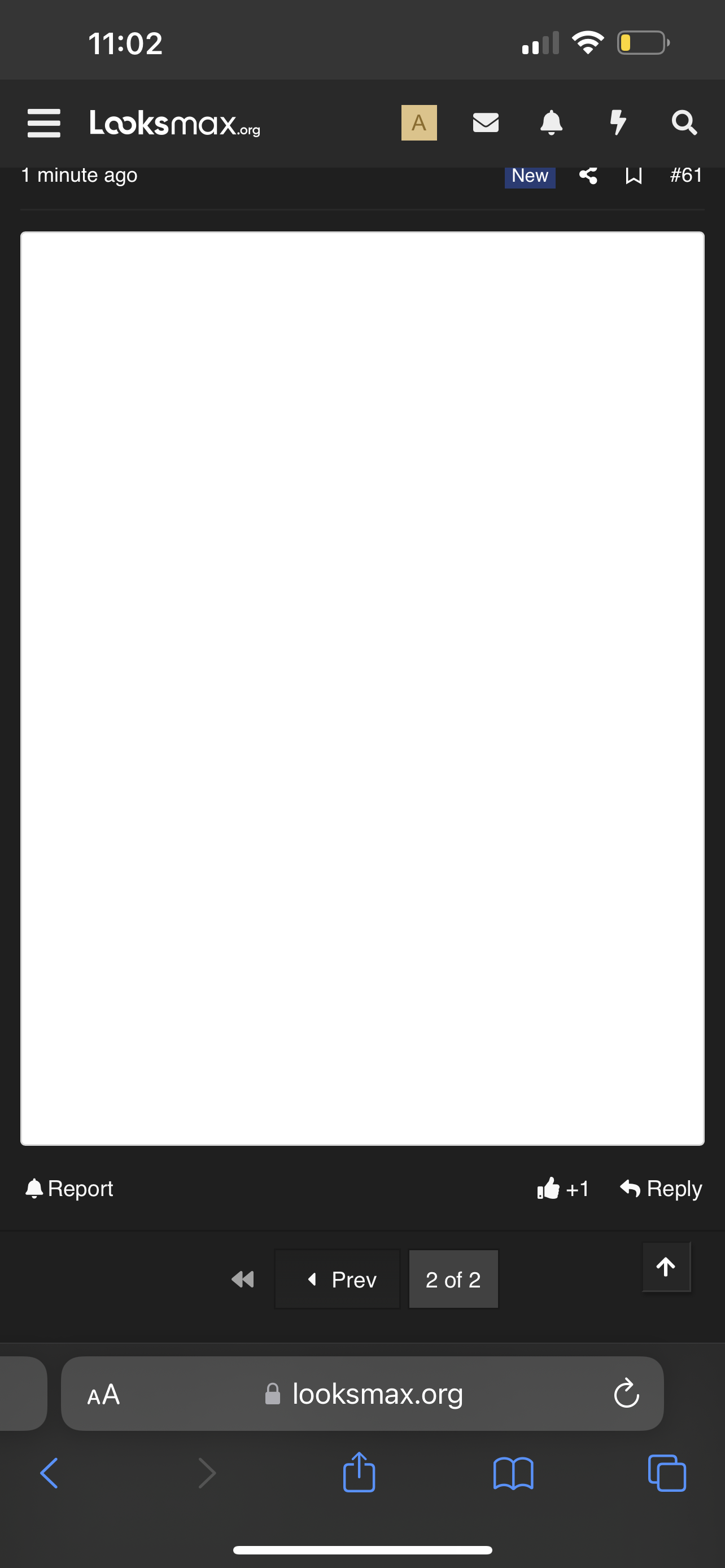 241C538B 4488 46ED 8C1A CF6F46E35D5E