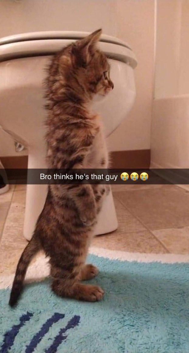 Bro thinks hes that guy