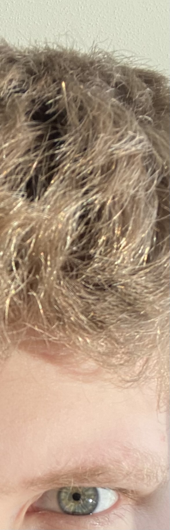 CDD4EE8D C4C4 49FB B38F A970133D8722