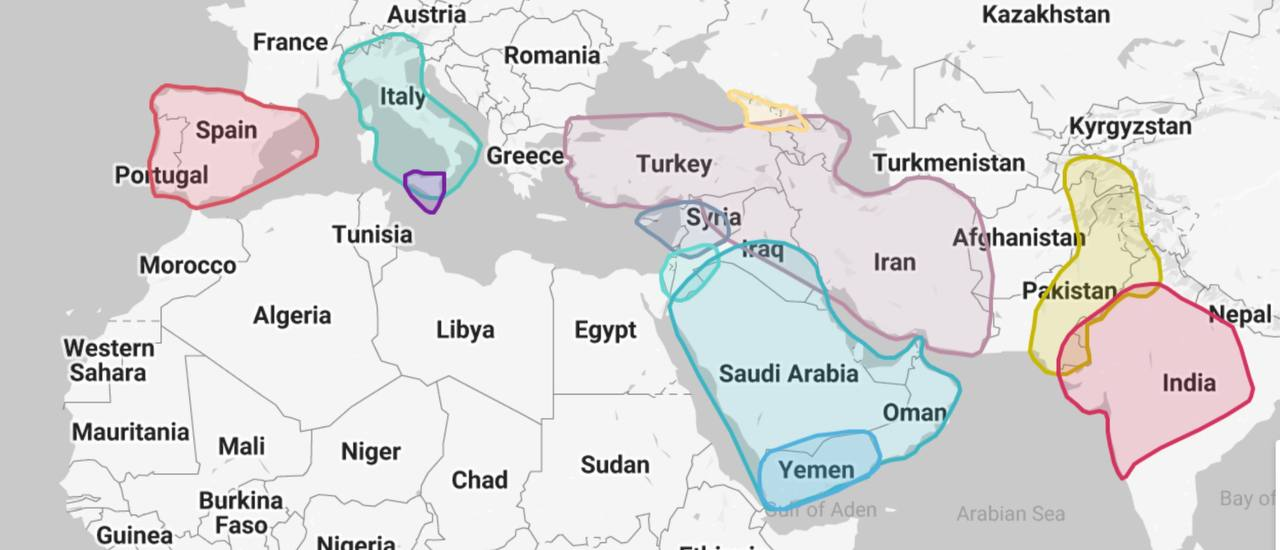 1654411531851
