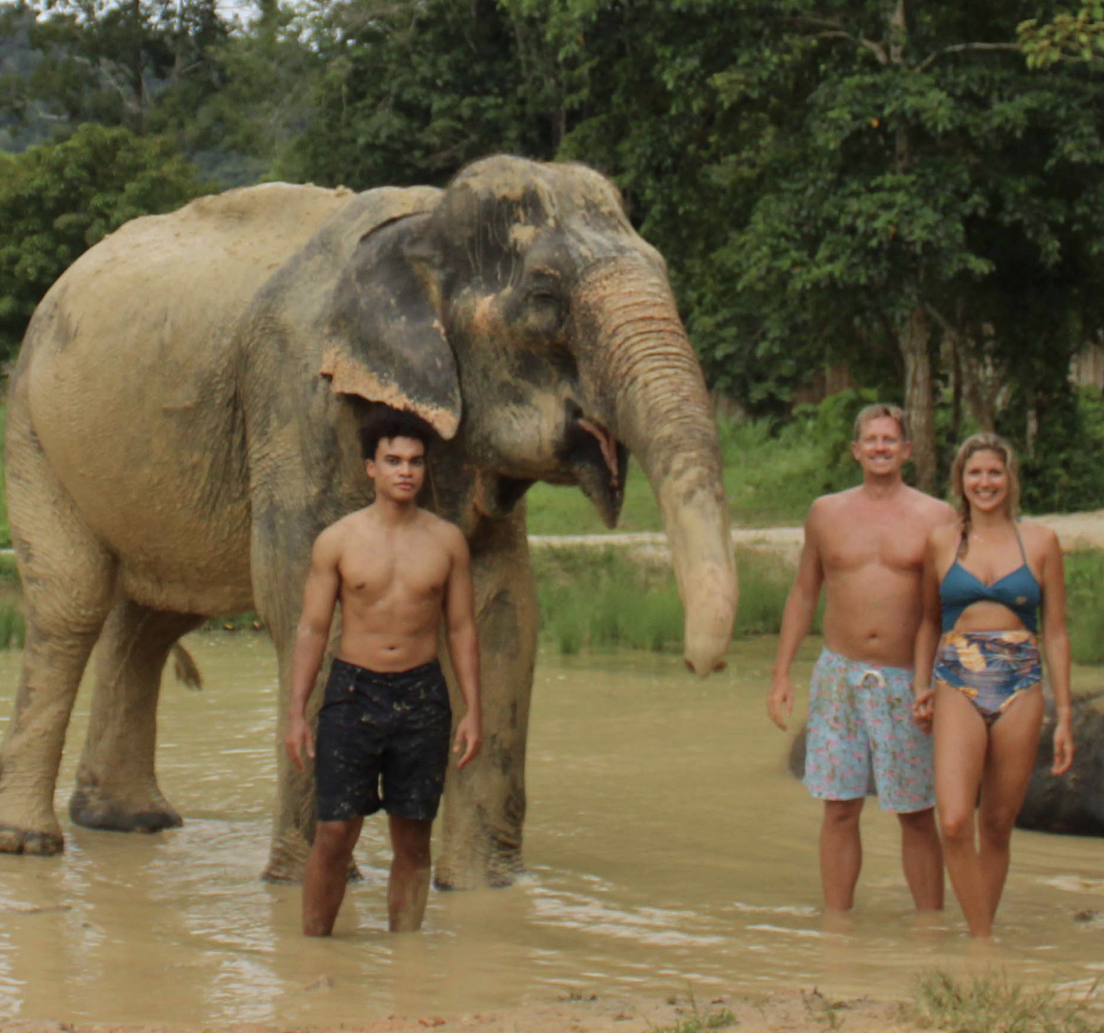 A9E1CF64 F3CB 4B2E BDC2 4B76DB7A8EDB