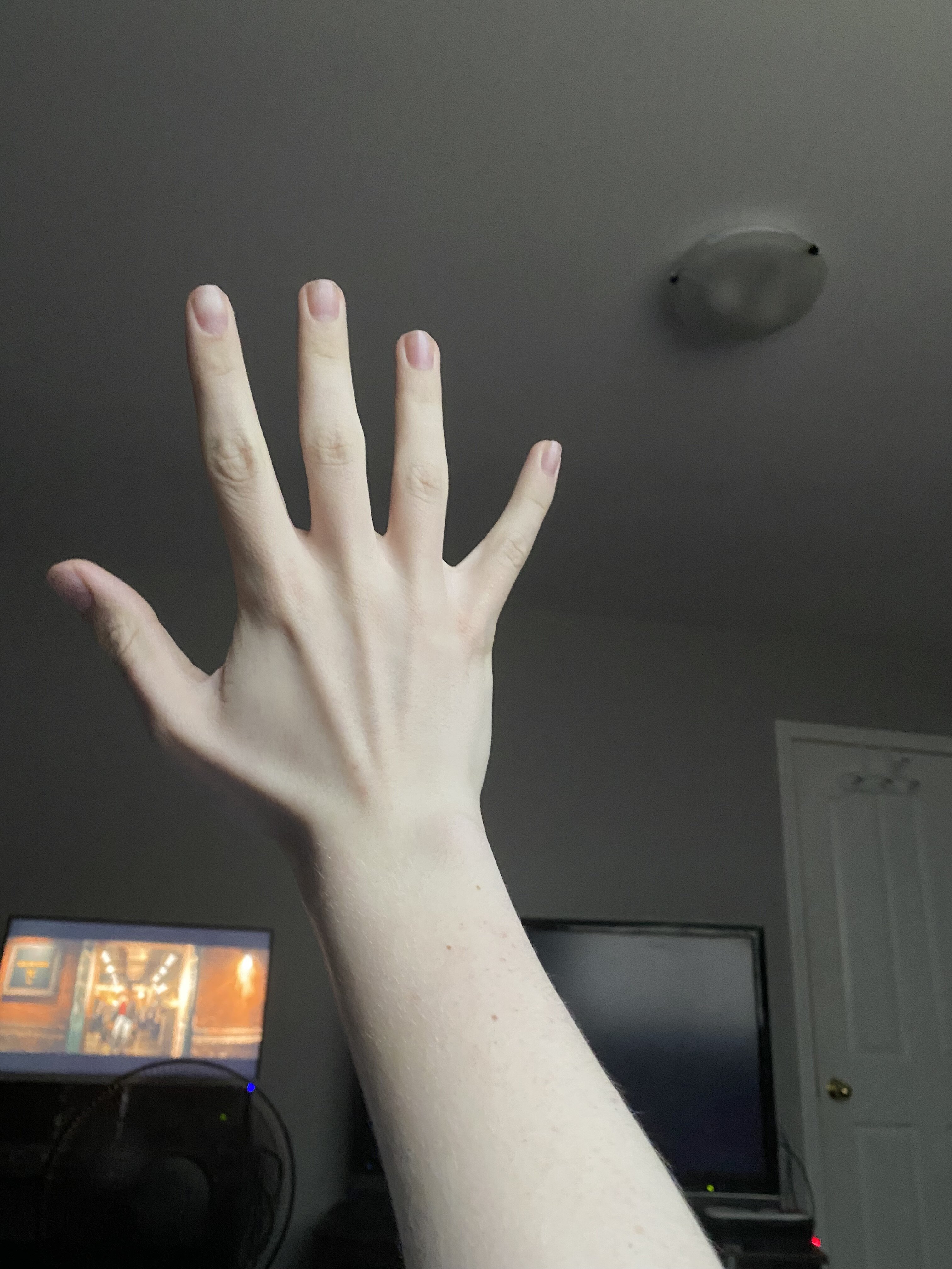 D8A470BC D97A 482F 86AF BD7EA368C5A7