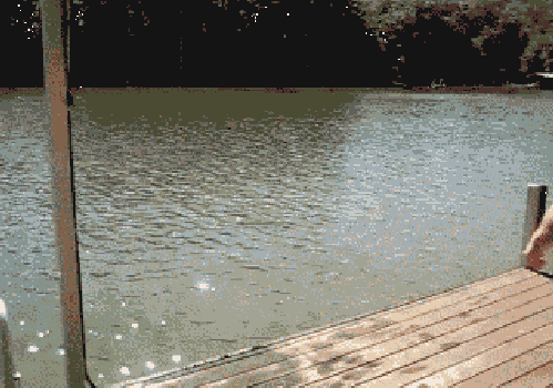 Tumblr m9j487oqbb1r2vq7do1 500