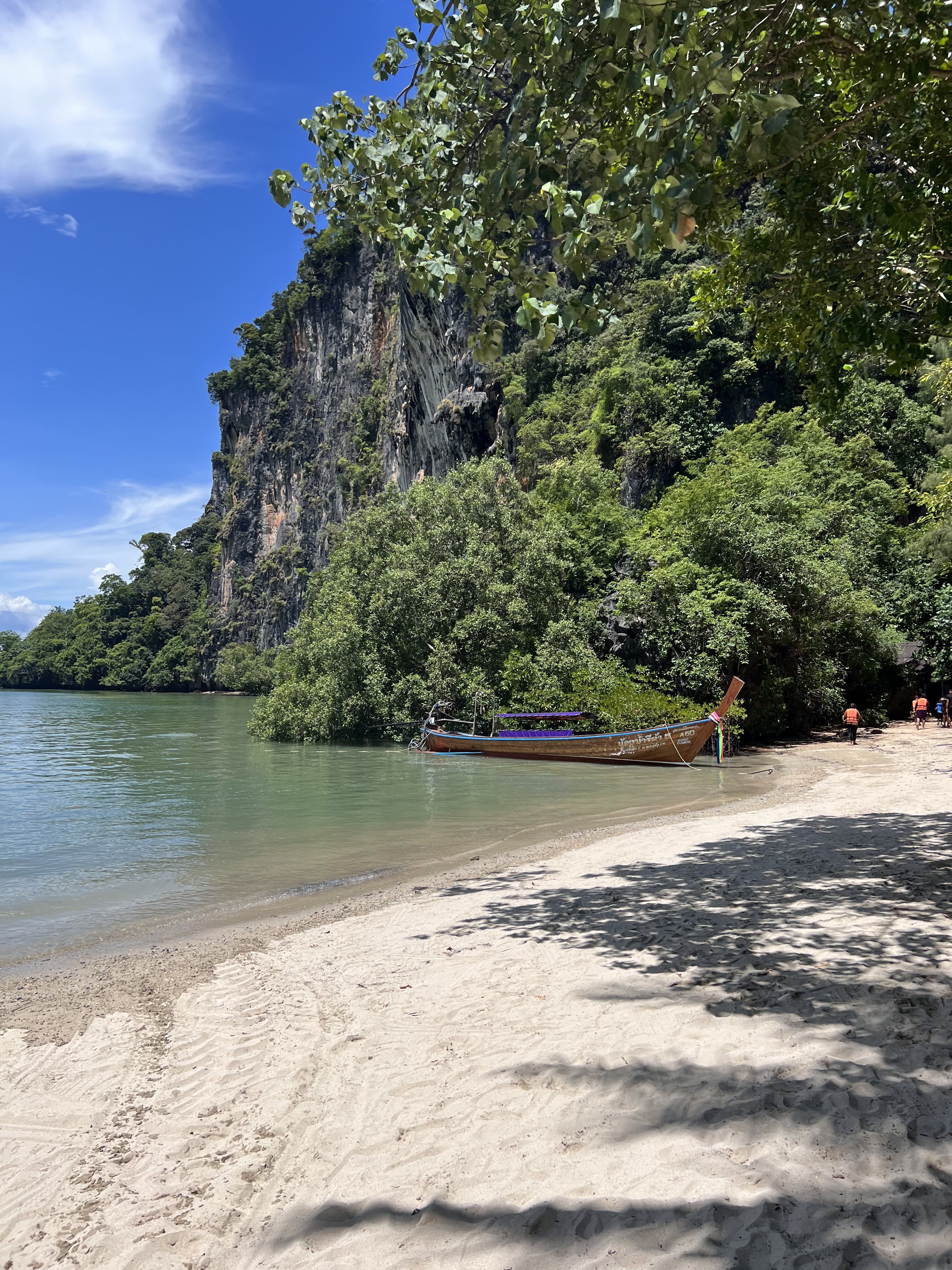 B9D6F90B 4866 40C8 9D92 CC604270E03F