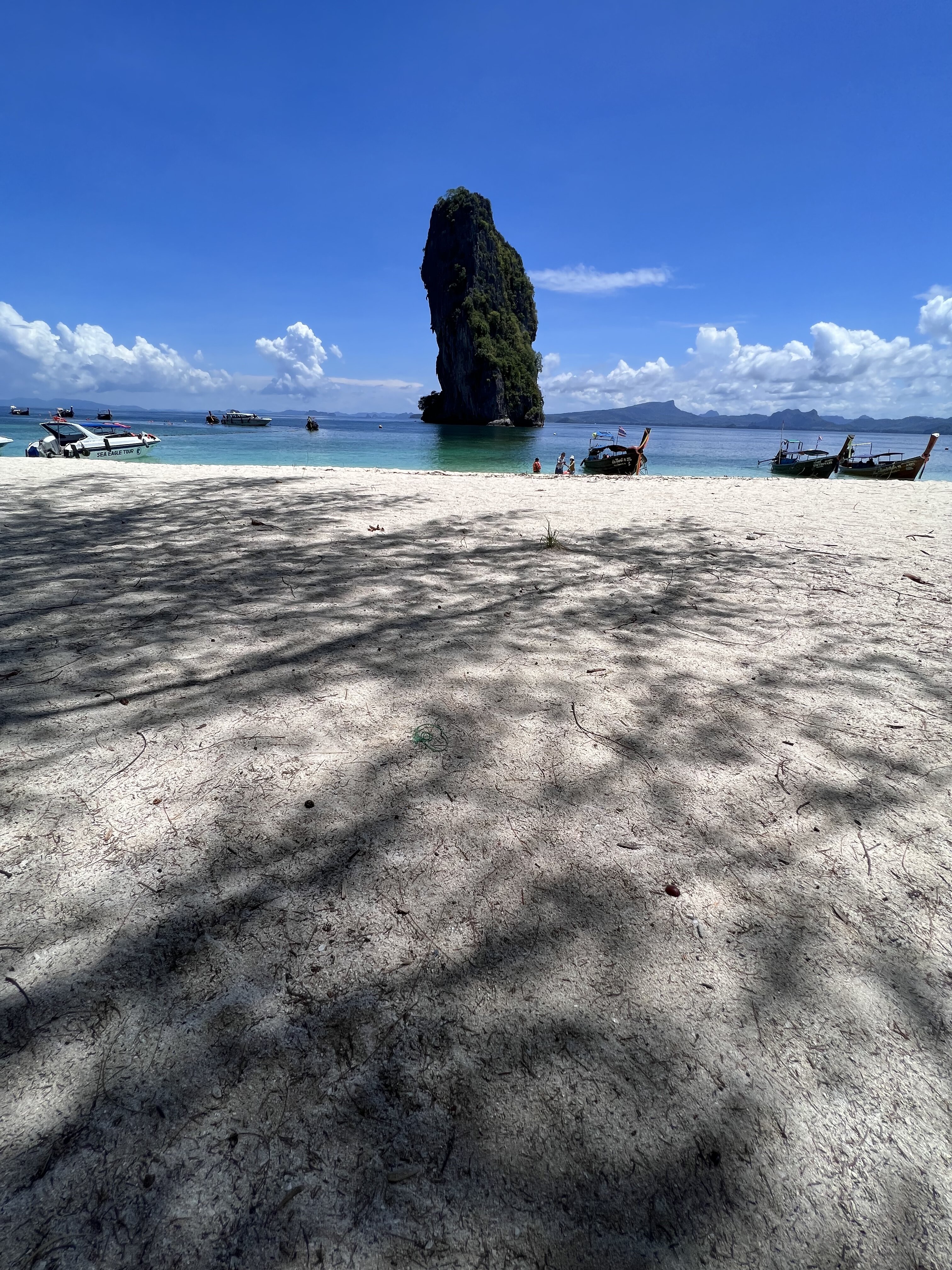 B80DAAF5 16C0 4EFD 8DAD 8B117A6F525F