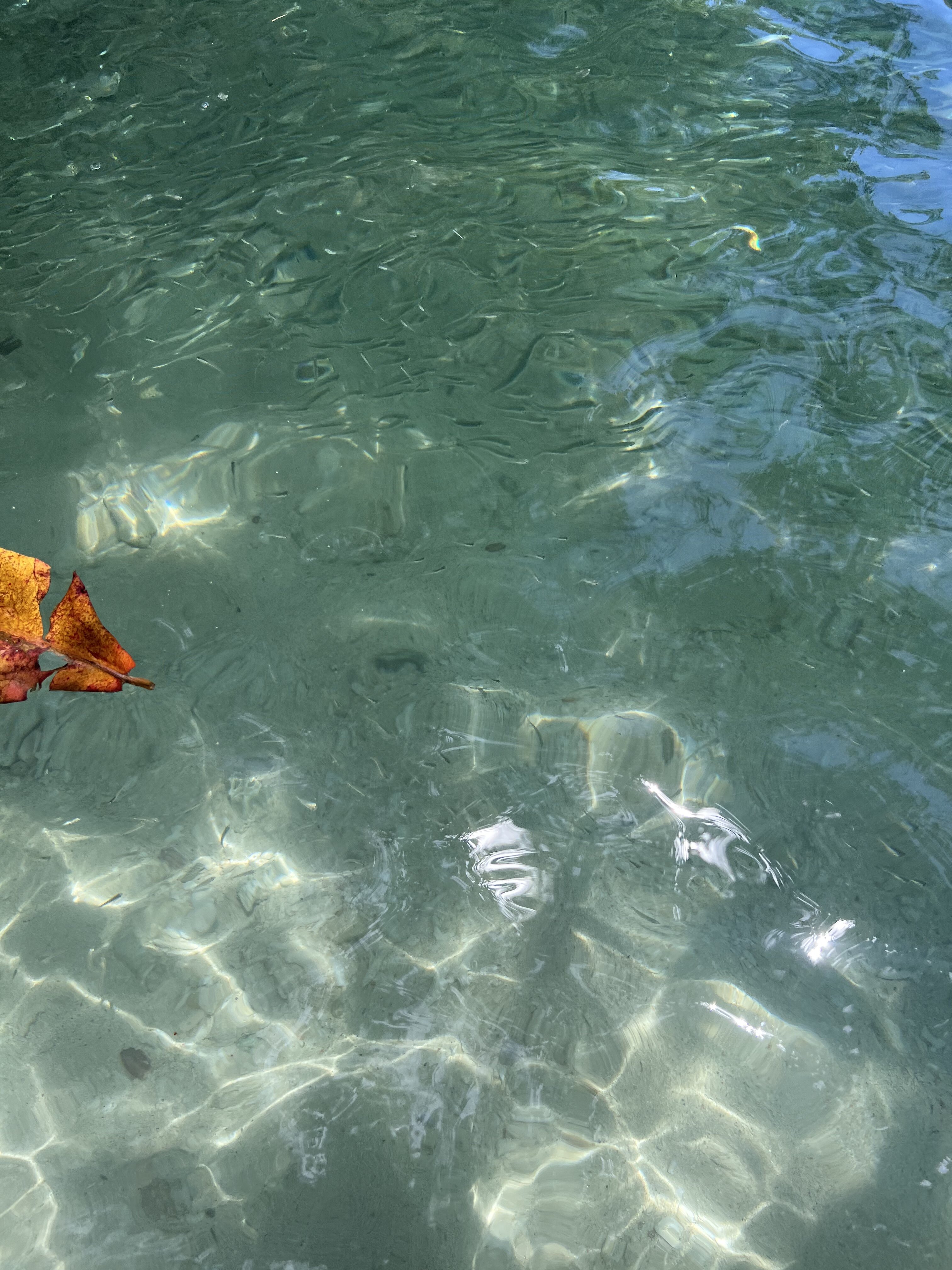 7961E73C 2558 45BD B02D BDF92F26012A