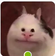 1654538028280