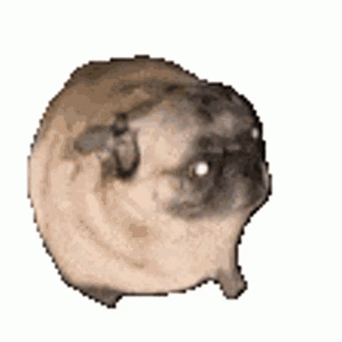 1654565547994