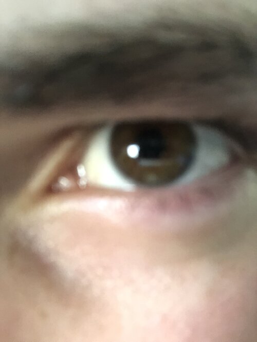 787EC5F7 4BF6 4E86 A59A 3D0FF7BD1034