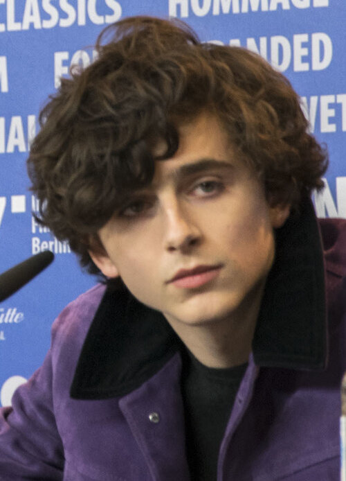 Hammer_and_Chalamet_at_Berlinale_2017_(cropped).jpg