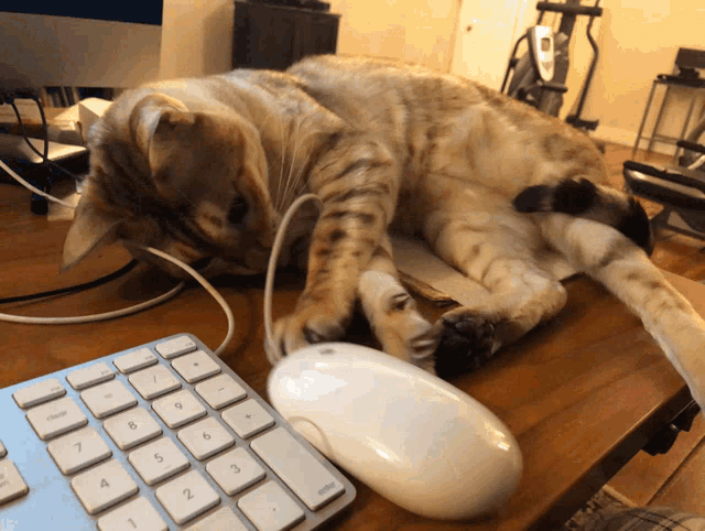 Hobbes mouse