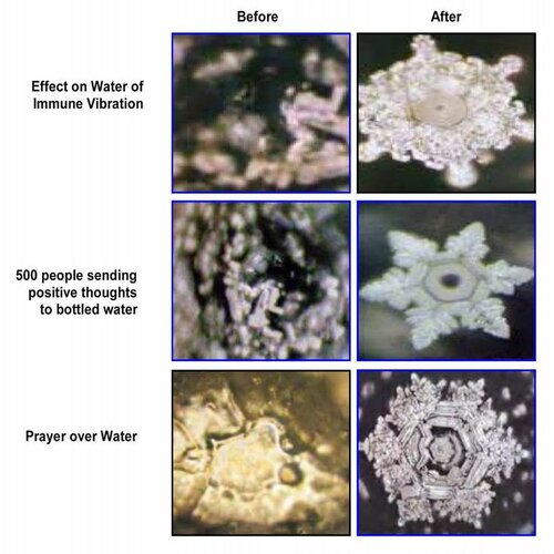 63f91e54dc29365cccf6e1c98c2a5498--masaru-emoto-water-pics.jpg
