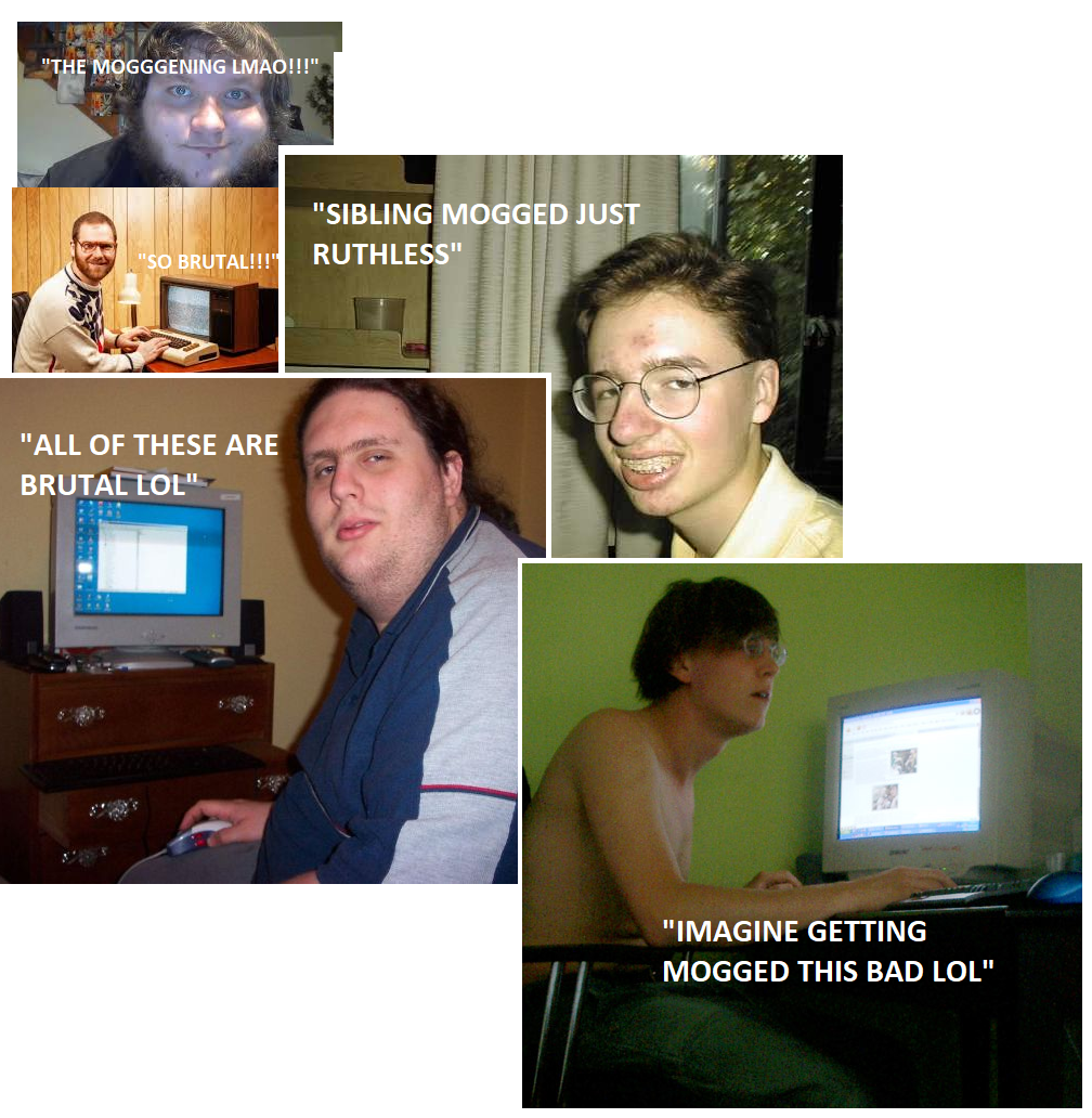Mogged