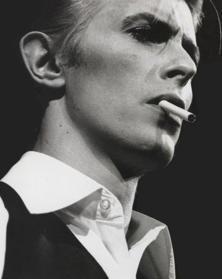Thin white duke david bowie3