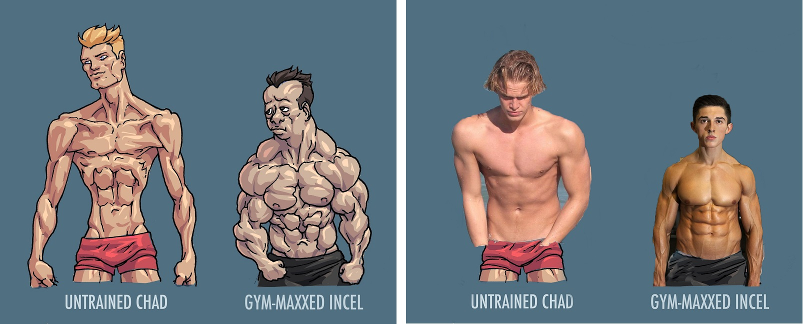 Gymcel1