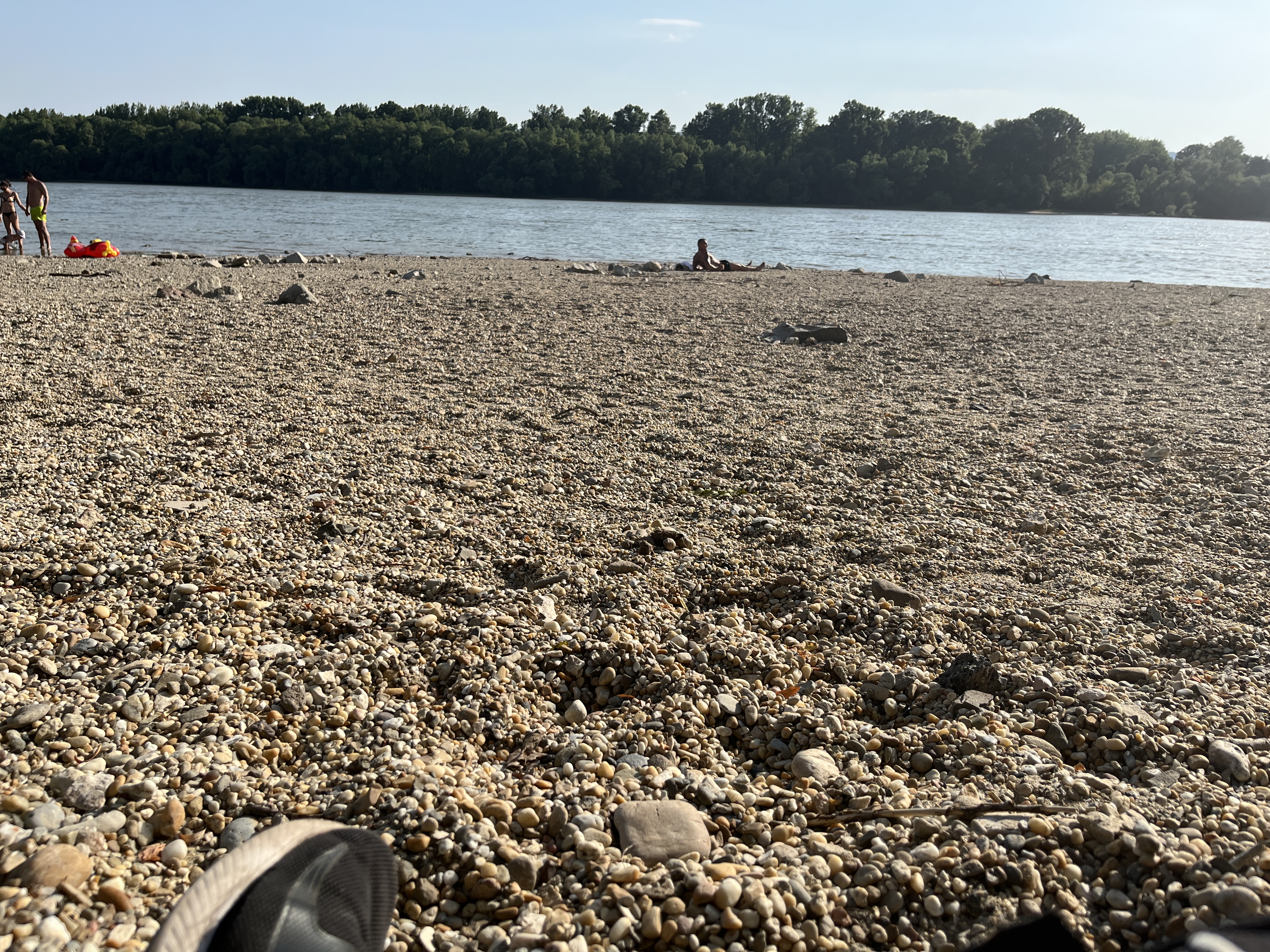 C9434033 7377 4C7A 8B35 CF5B94240A7C