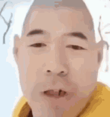 Asian chinese