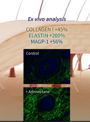 Screenshot 2022 07 04 at 101525 PM