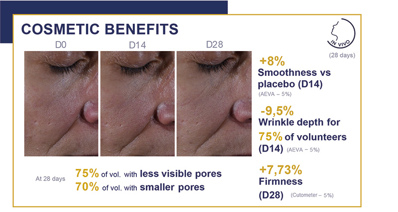 Screenshot holyland yuu kickboxer