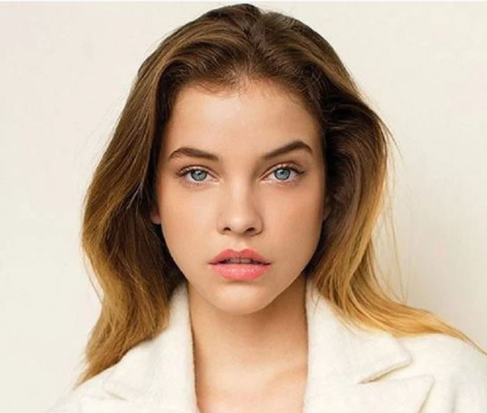 Palvin3
