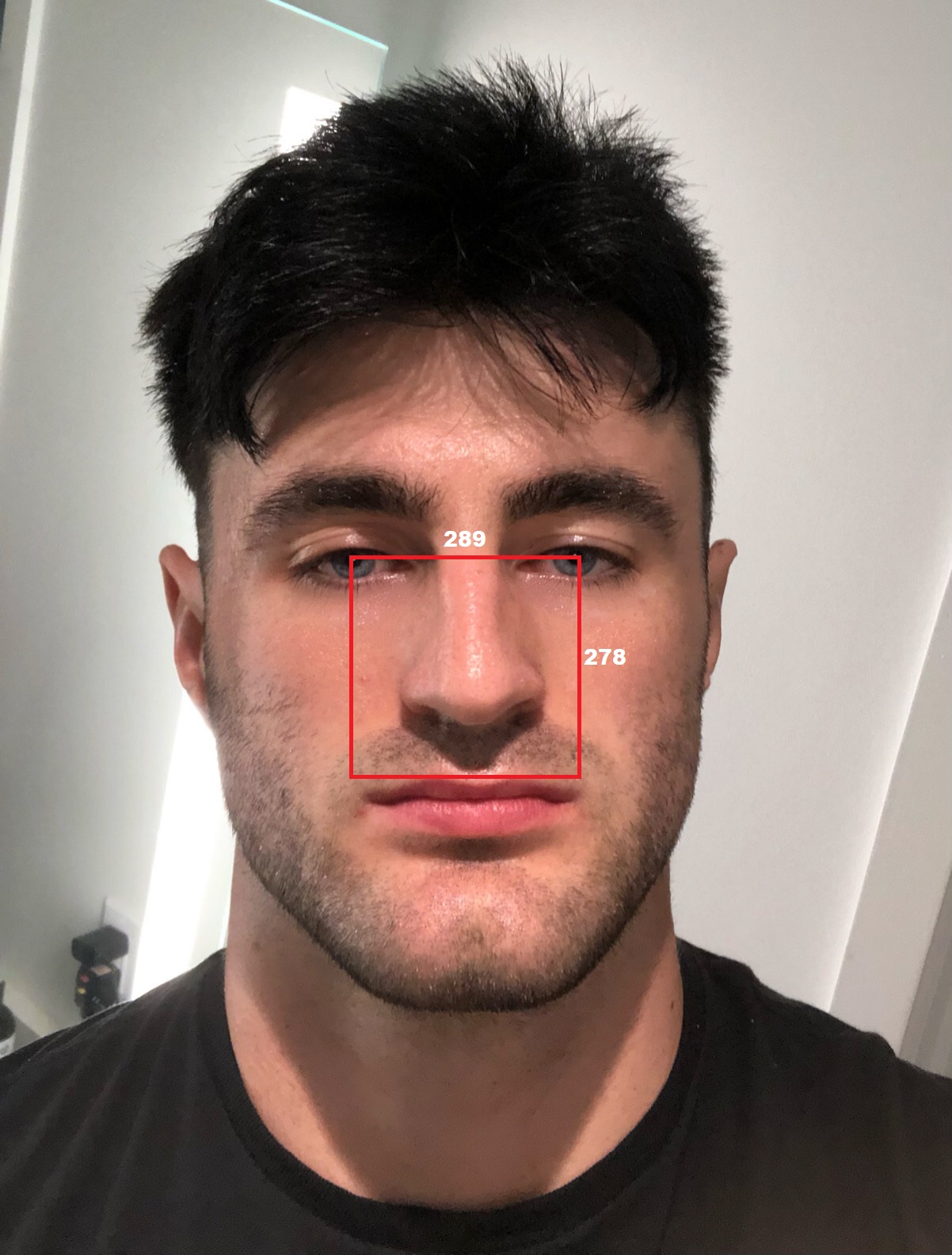 Zeususmidfaceratio