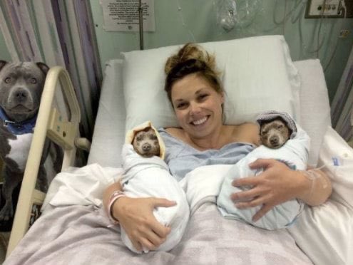 1E6B8E6F 8180 4994 87BD 97870A7BE02E