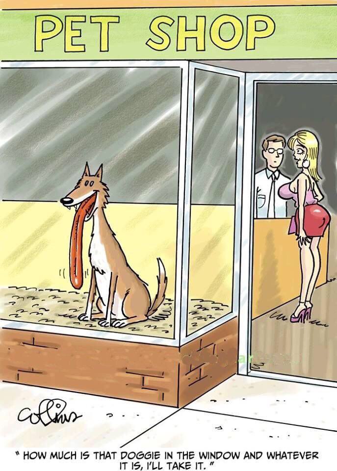 AFE56C9E CF29 4BAC 80C6 2AA519E09BAB