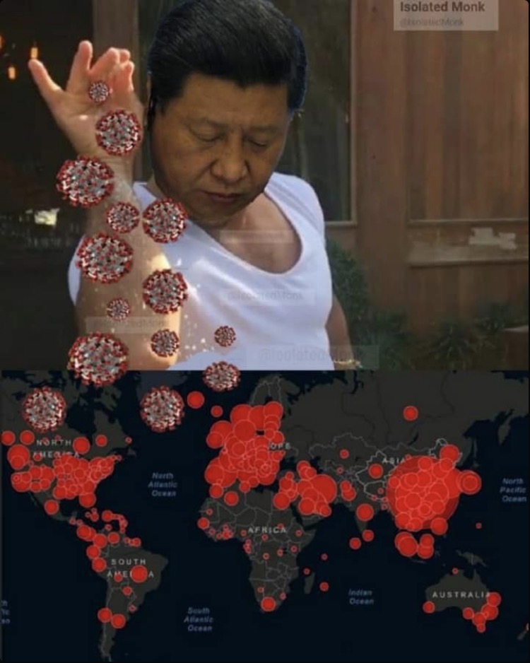 749CC556 0F20 4CB3 934F BFF4DF3EF936