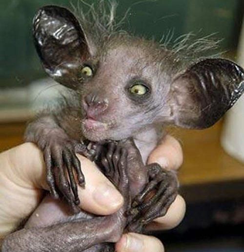 EA5E2F62 9A83 4187 9D7A 443237C18FDB