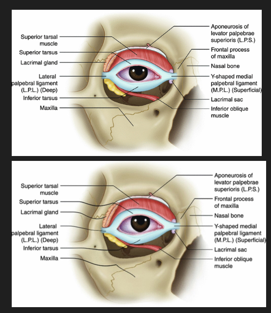 8199F546 5539 4987 93DC F20BBCCAB735