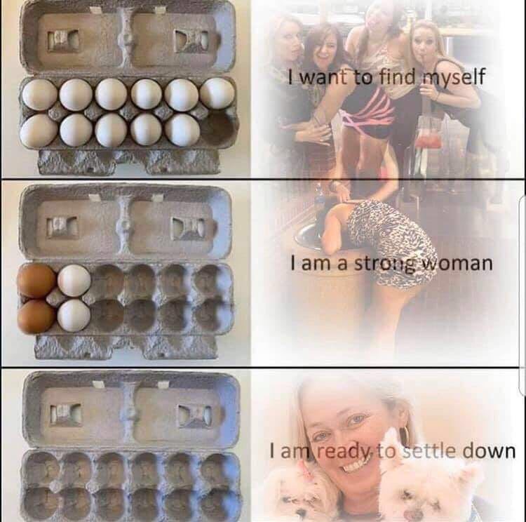 44548988 6545 4A5B ACFA 97F4E2040258