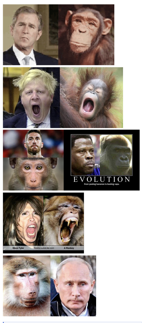 5D37C6F8 6B69 45C8 942F F425885AF55A