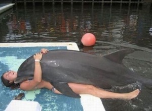 A2AE0143 9A68 45AA B5E1 BE4CC5E5960D