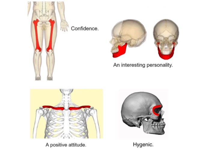 1A771AF3 6E37 4791 A15D 1491FA75632B